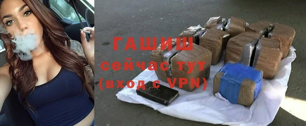 соль ск Тайга
