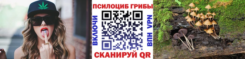 где можно купить   Клинцы  Галлюциногенные грибы Magic Shrooms 