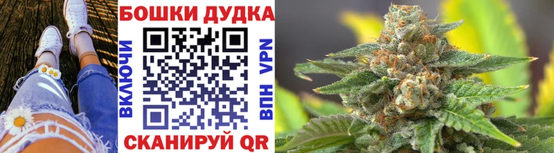 купить наркоту  Клинцы  МАРИХУАНА ГИДРОПОН 